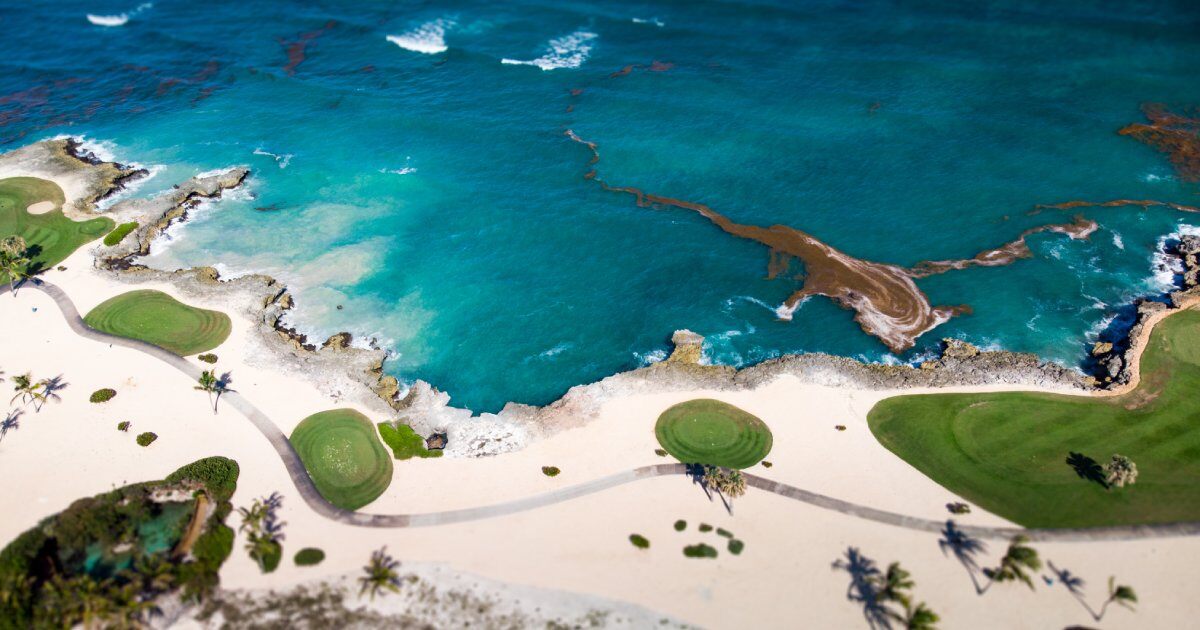 Cap Cana, golf, mare - Caraibinvest Repubblica Dominicana